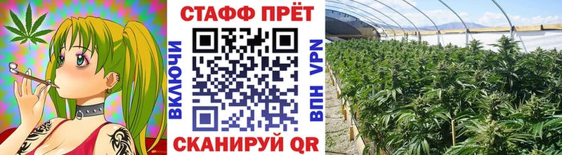 Купить закладку Гашиш  Бошки Шишки  СК  МЕФ  Волгореченск