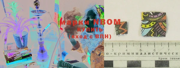 шишки Касимов