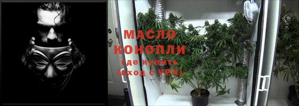 шишки Касимов