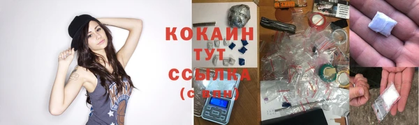 шишки Касимов