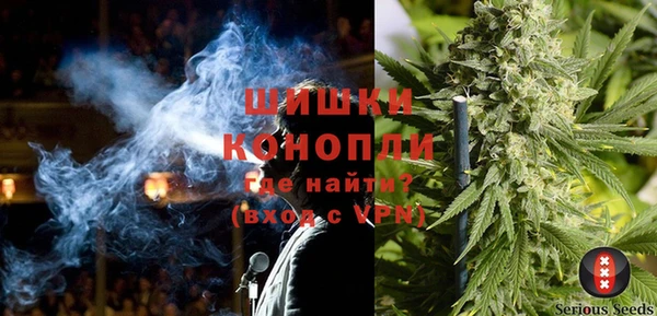 шишки Касимов