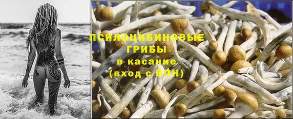 круглые Карталы