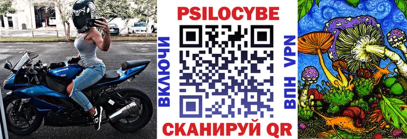 Псилоцибиновые грибы Cubensis Волгореченск